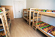 Apple hostel fotka