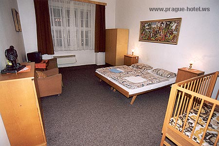 Krokodyl penzi�n fotka